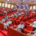 BREAKING: Senate Passes State Police Bill, Empowers Governors to Appoint Commissioners