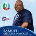The Measure of True Leadership: A Reflection on the Public Service Journey of Chief Barr. Samuel Okezie Nwogu