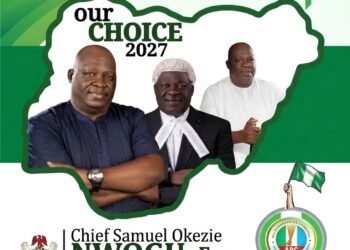 A Legal Mind for Lawmaking: Why Chief Samuel Nwogu’s Professionalism and Leadership is needed