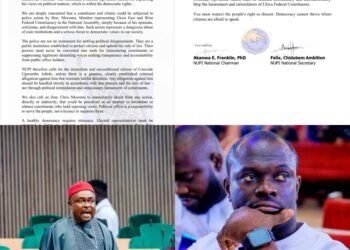 NUPI Demands Release of Ugwumba, Accuses Nkwonta of Using Police to Silence Critics